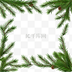 阴影框图片_圣诞框架与松树枝和阴影隔离在白