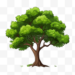 卡通树绿树