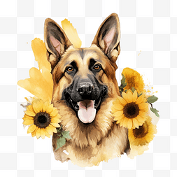 笑脸多巴胺图片_德国牧羊犬与向日葵水彩插图 ai 