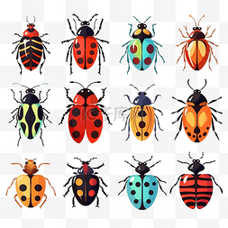 丑角虫子昆虫和花园概念以彩色主