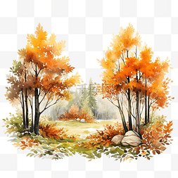 秋季森林树木树叶和绿草植物花卉