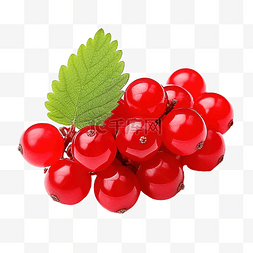 红莓