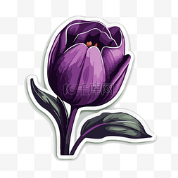 盛开的紫色郁金香 向量