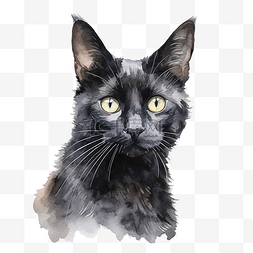 黑色猫图片_水彩黑猫