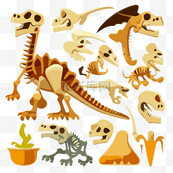 恐龍骨頭 向量