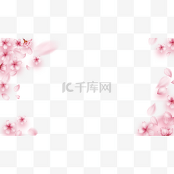樱花粉色飘落边框横图