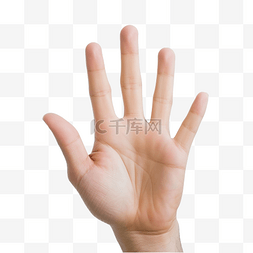五指符号