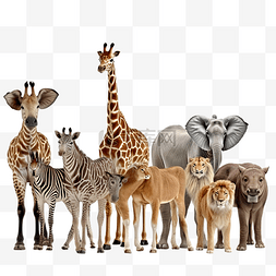 非洲野生动物图片_一群野生动物，如鹿大象长颈鹿和