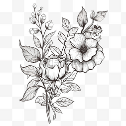 手植物植物花卉图片_花卉线条艺术插图 PNG
