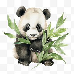 熊猫水彩剪贴画