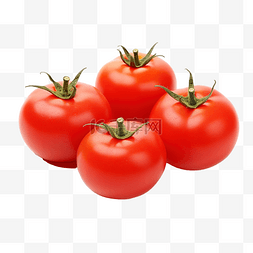 四个新鲜西红柿