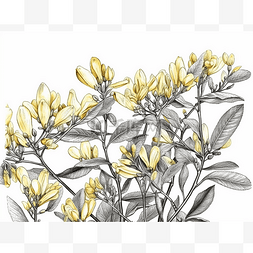 黄色页图片_这幅画取材于黄色和白色的花朵