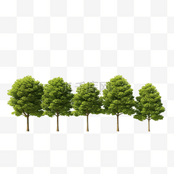 一排树隔离 3D 渲染插图