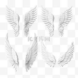 鹰的翅膀卡通图片_一套不同的逼真 3D 白色天使翅膀