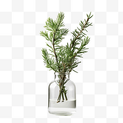 花瓶中的替代圣诞树，带有天然冷
