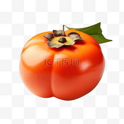 韓國傳統文化插畫图片_韩国感恩节带叶水果柿子隔离装饰