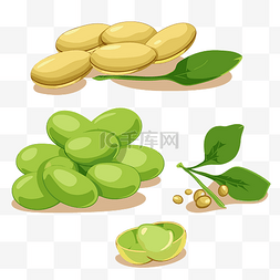 收集图片_大豆剪贴画不同的青豌豆种子和豆
