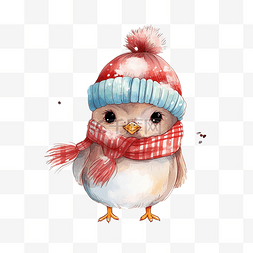 冬天戴帽子的小鸟