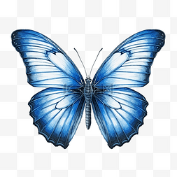 抽象水彩手绘图图片_蓝色蝴蝶绘图