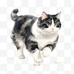 黑白条纹的胖猫在水彩中行走