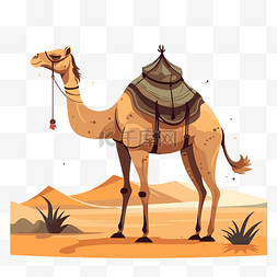 camal剪贴画 沙漠中的阿拉伯骆驼 