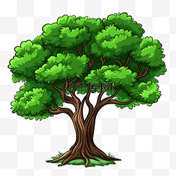 一棵绿叶树的卡通插图