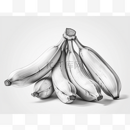 香蕉黑白手绘图片_一些香蕉的黑白手绘插图