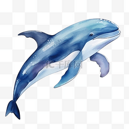 可爱卡通鲸鱼图片_鲸鱼水彩卡通