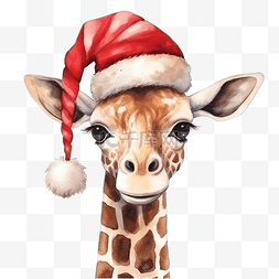 长颈鹿头卡通图片_圣诞配饰中的长颈鹿手绘肖像
