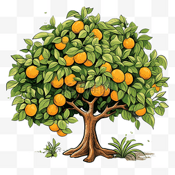 果树插图