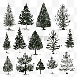 手绘圣诞树插图集黑色墨水和画笔