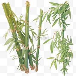 健康中国人图片_带叶子的绿色竹签
