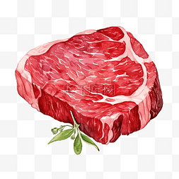 水彩肉牛肉