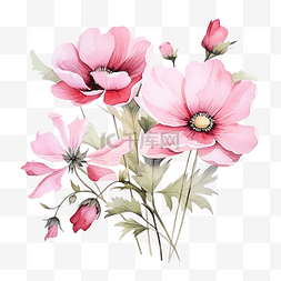 水彩粉红色花卉植物