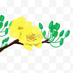 新年透明素材图片_越南新年杏花花瓣越南春节快乐越