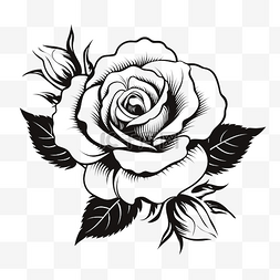 玫瑰轮廓剪影黑色和白色玫瑰花