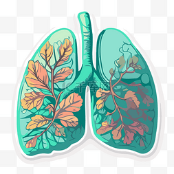 肺部卡通图片_两种颜色的肺部空气与树叶剪贴画