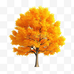 黄色大叶子图片_3d 孤立的橙色和黄色树