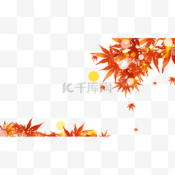 黄色树叶纹理图片_秋季树叶枫叶边框阳光光斑