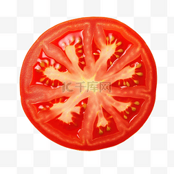 植物番茄图片_番茄果实切片