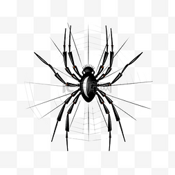 创意万圣节图片_万圣节蜘蛛网动物昆虫插画矢量剪