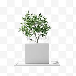 3D 渲染立方体讲台，周围有绿树，