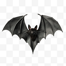 吸血鬼手图片_德古拉伯爵吸血鬼的蝙蝠