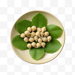 萨尔树叶盘上的鹰嘴豆