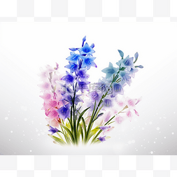 白色背景中的蓝色和紫色花朵