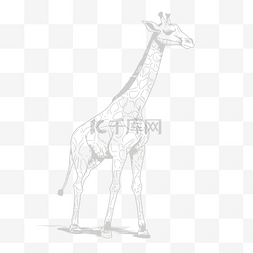 线描长颈鹿图片_绘制长颈鹿轮廓草图的图像 向量