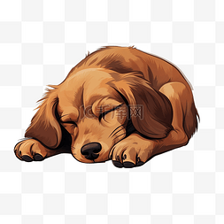 卧室地板矢量图片_可爱的长耳棕色狗睡在地板上，它