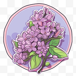 紫色紫丁香在圆圈和叶子中的卡通