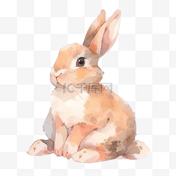 水彩画画图片_兔子复活节水彩画画