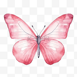水彩蝴蝶粉红色